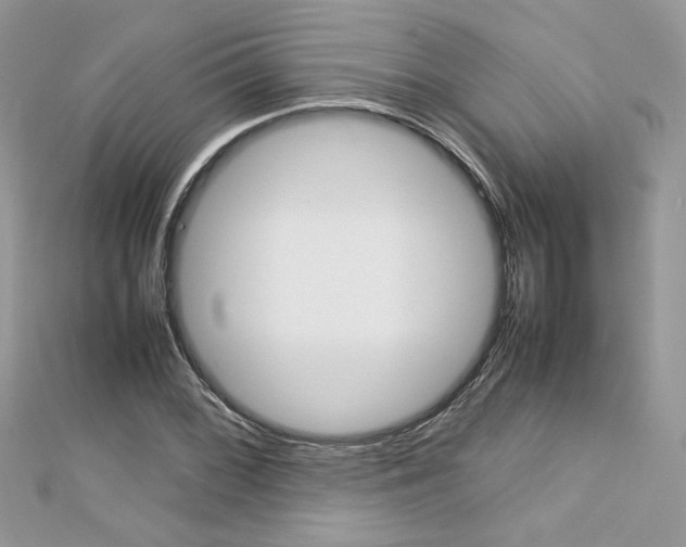 X0000113071068200908281005