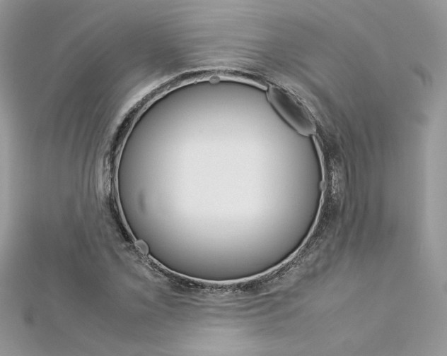 X0000113071069200908281005