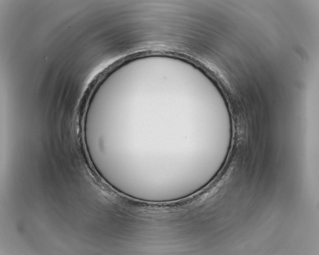 X0000113071070200908281005
