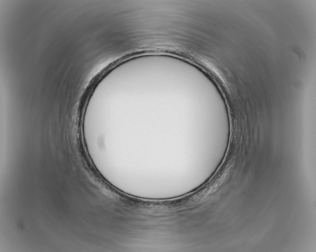 X0000113071071200908281005
