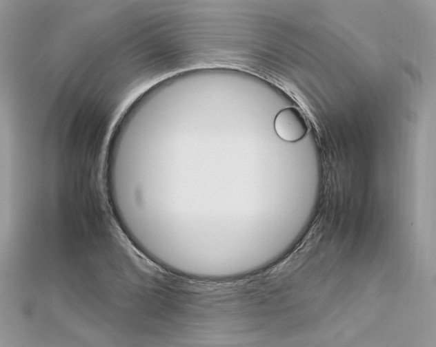 X0000113071072200908281005
