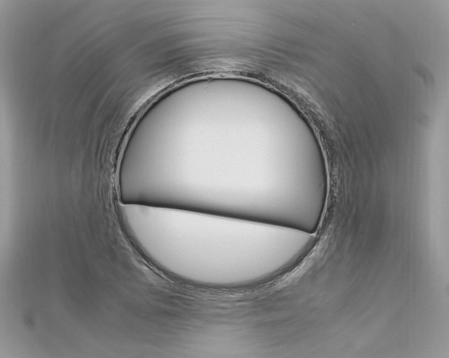 X0000113071073200908281005