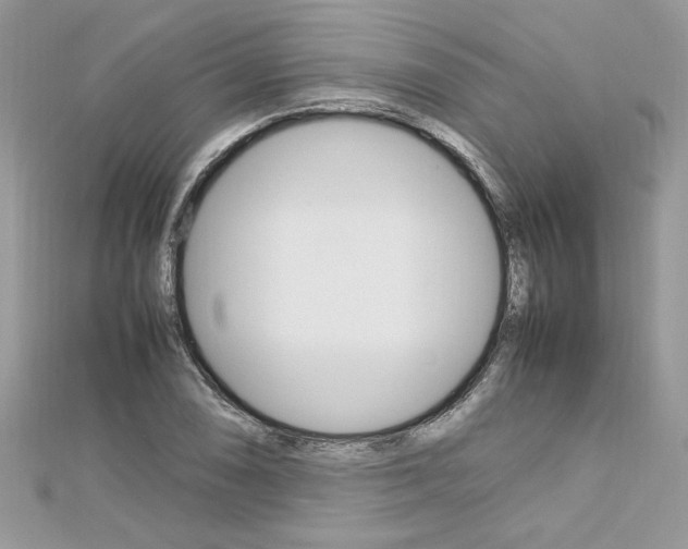 X0000113071074200908281005