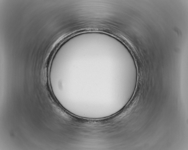 X0000113071075200908281005