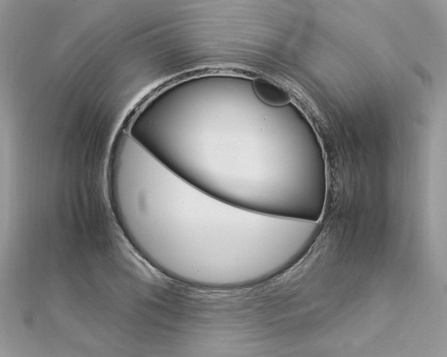 X0000113071076200908281005