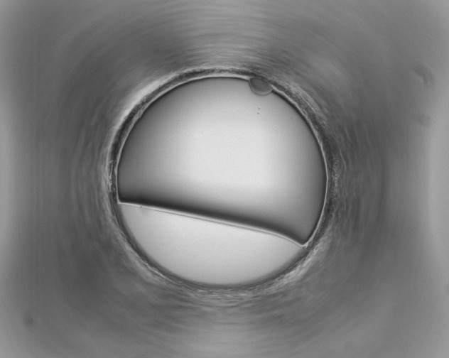 X0000113071077200908281005