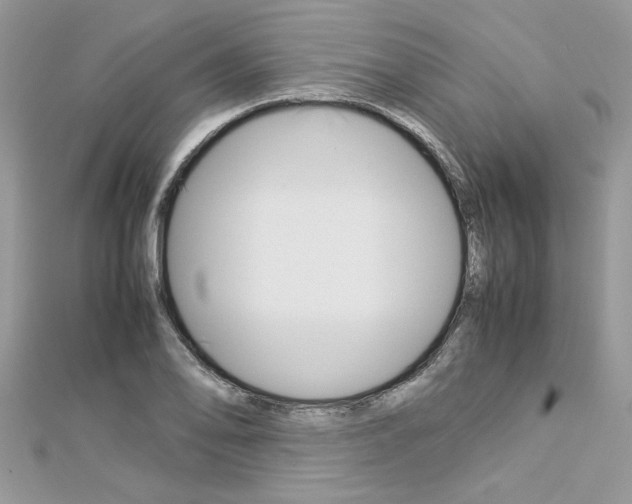 X0000113071078200908281005