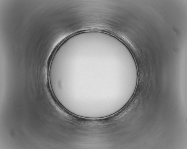 X0000113071079200908281005