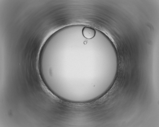 X0000113071080200908281005