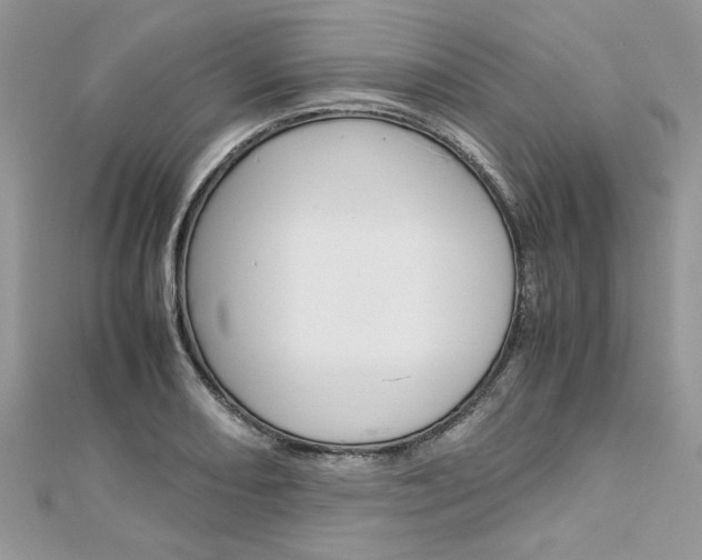 X0000113071082200908281004