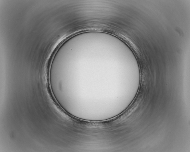 X0000113071083200908281004