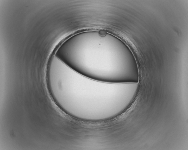 X0000113071085200908281004