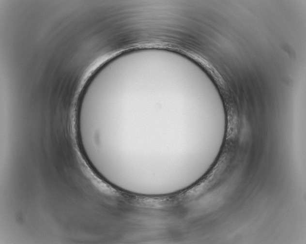 X0000113071086200908281004
