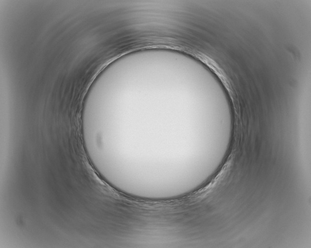 X0000113071089200908281004