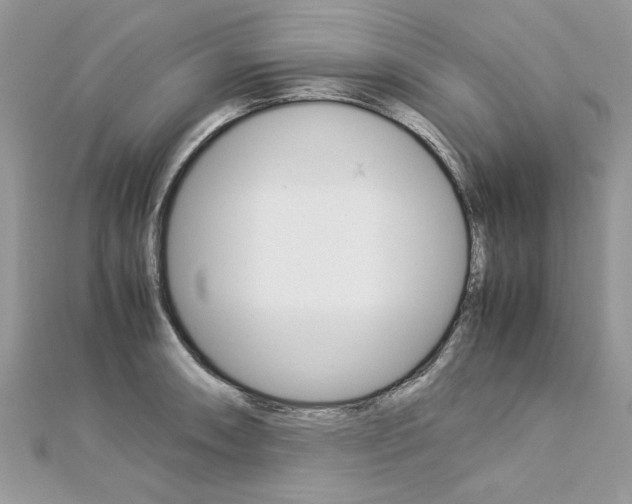 X0000113071090200908281004