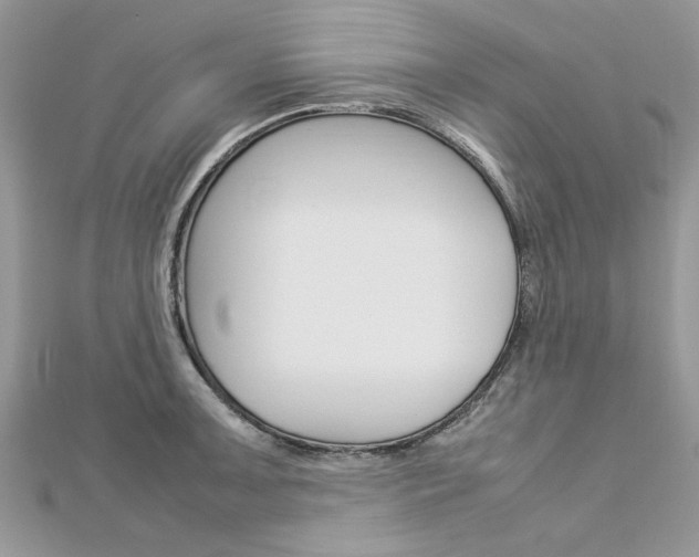 X0000113071091200908281004