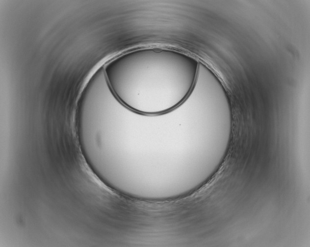 X0000113071092200908281004