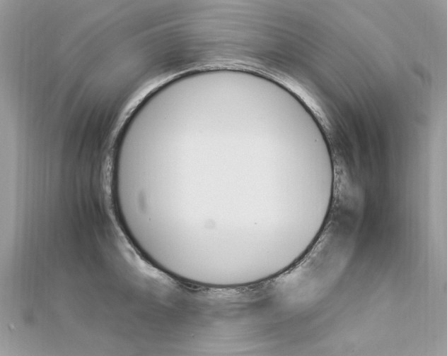 X0000113071094200908281004