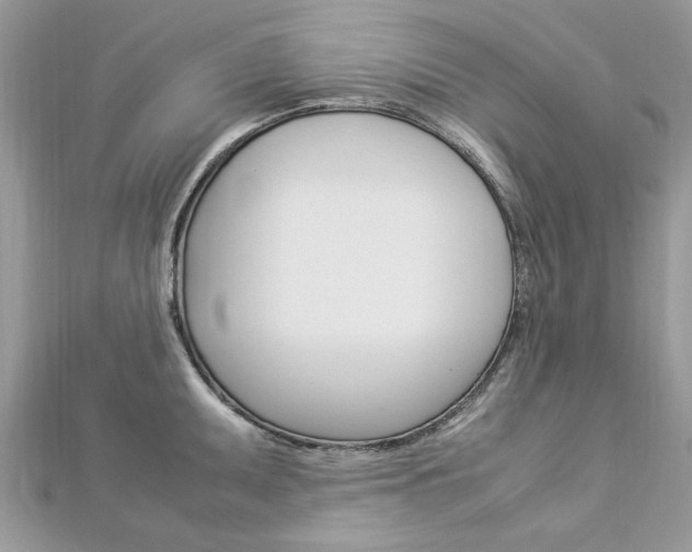 X0000113071095200908281004
