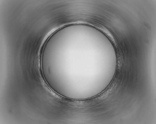X0000113071096200908281004