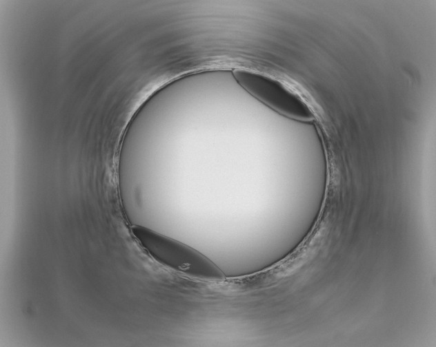 X0000113071097200908281004