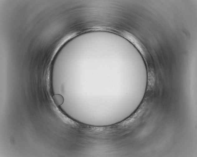 X0000113071098200908281004