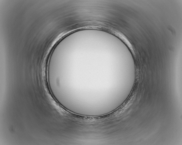X0000113071099200908281004