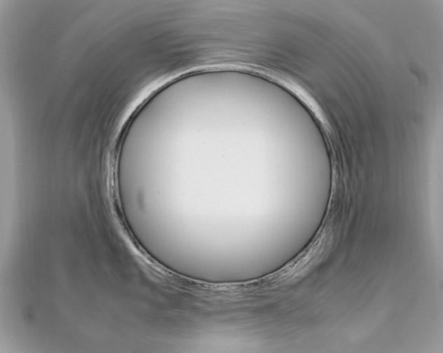 X0000113071101200908281004