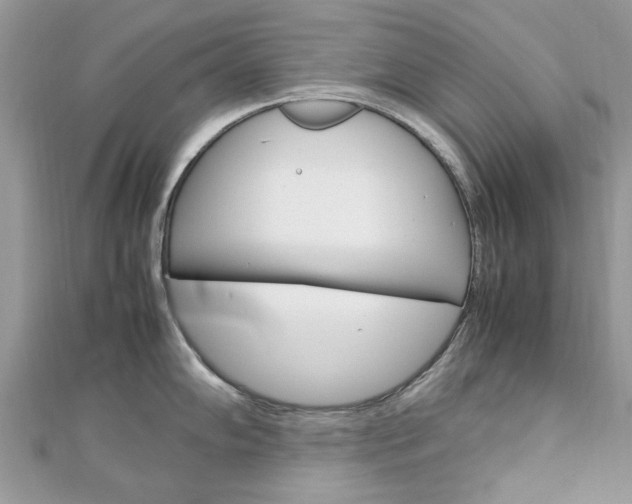 X0000113071102200908281004