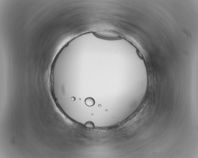 X0000113071103200908281004