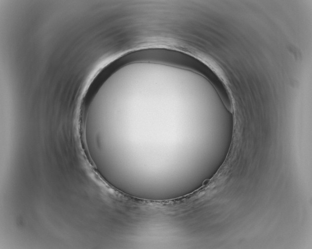 X0000113071104200908281004