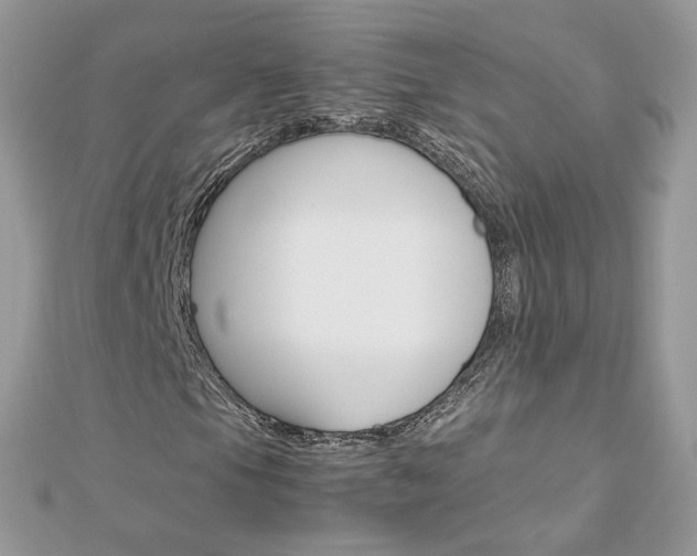 X0000113071105200908281003
