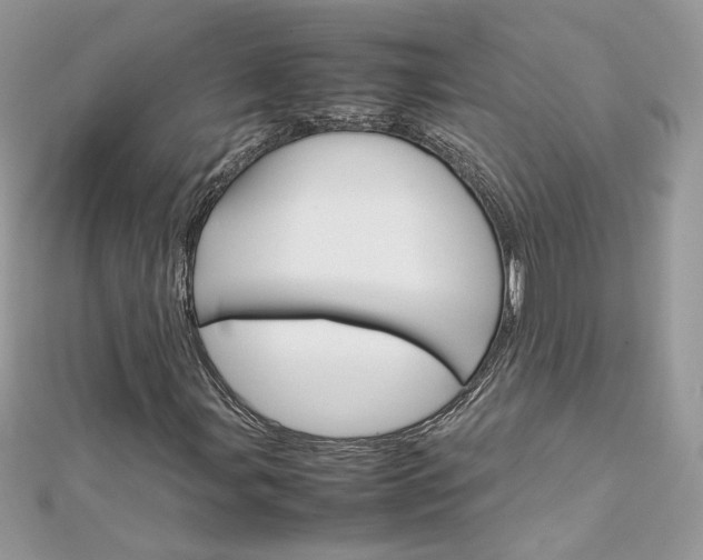 X0000113071107200908281003