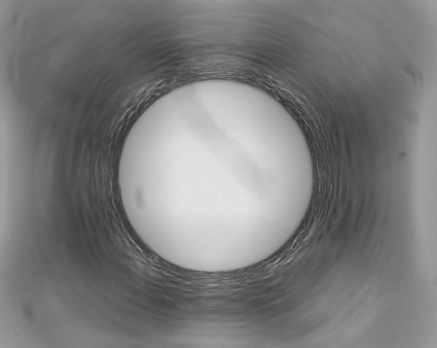 X0000113071108200908281003