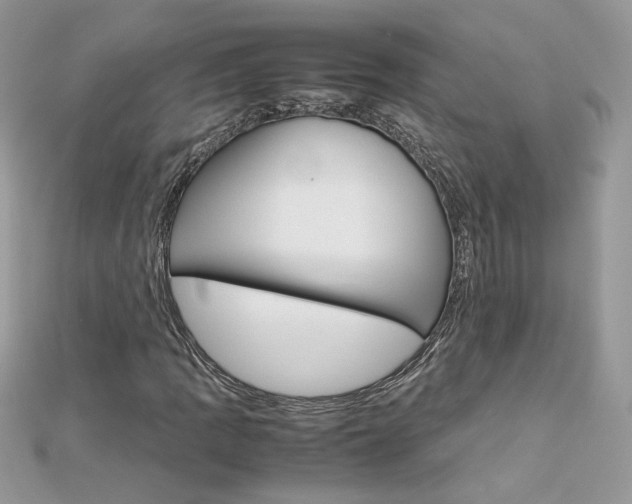 X0000113071109200908281003