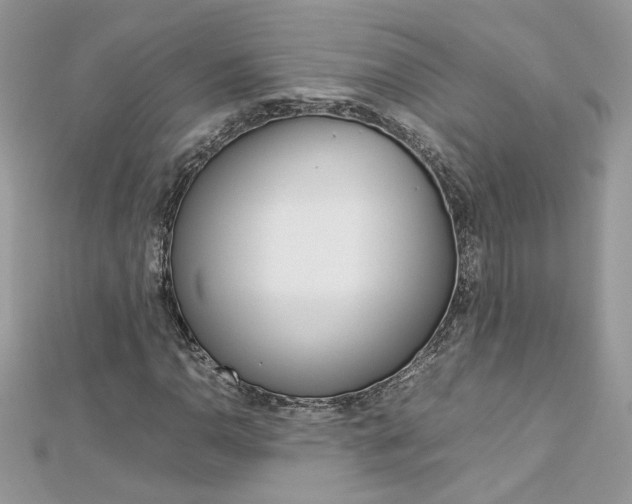 X0000113071110200908281003