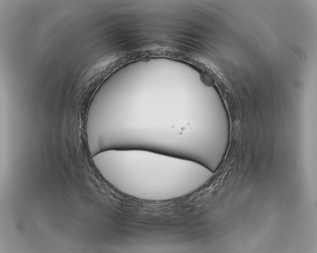 X0000113071111200908281004