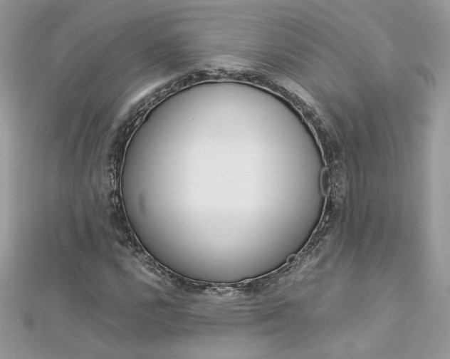X0000113071112200908281004