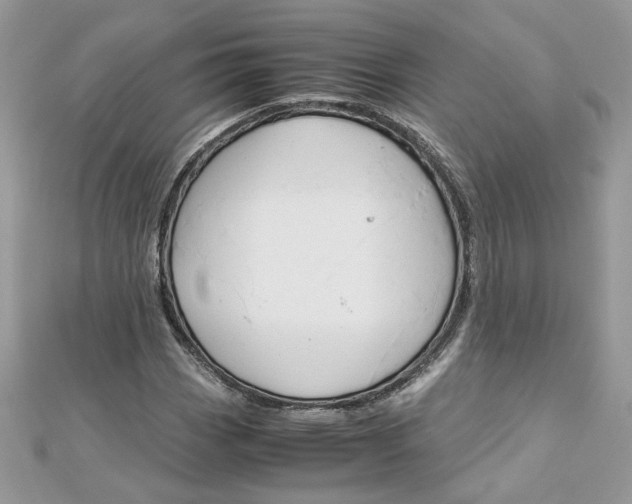 X0000113071113200908281004