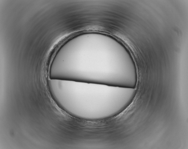 X0000113071115200908281004