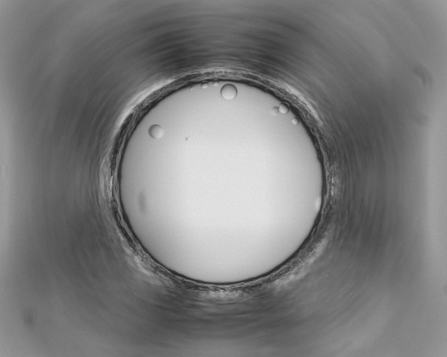 X0000113071117200908281004