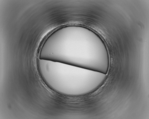 X0000113071119200908281004