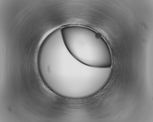 X0000113071120200908281004