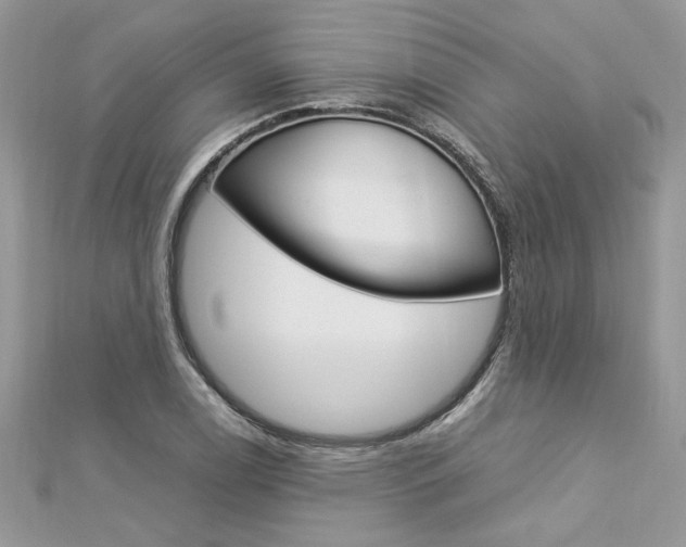 X0000113071122200908281004