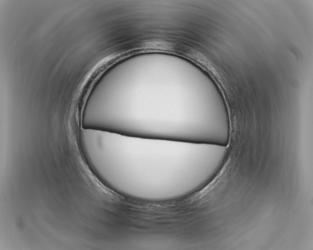 X0000113071123200908281004