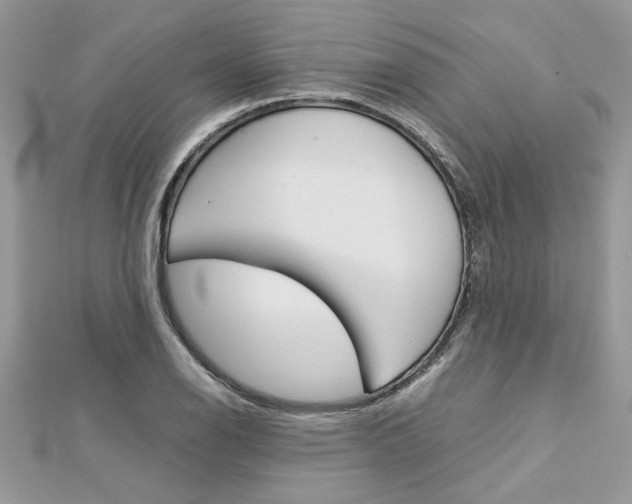 X0000113071126200908281004