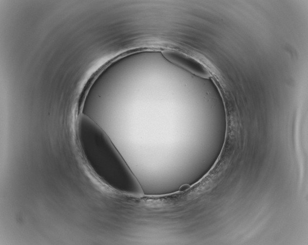 X0000113071128200908281004