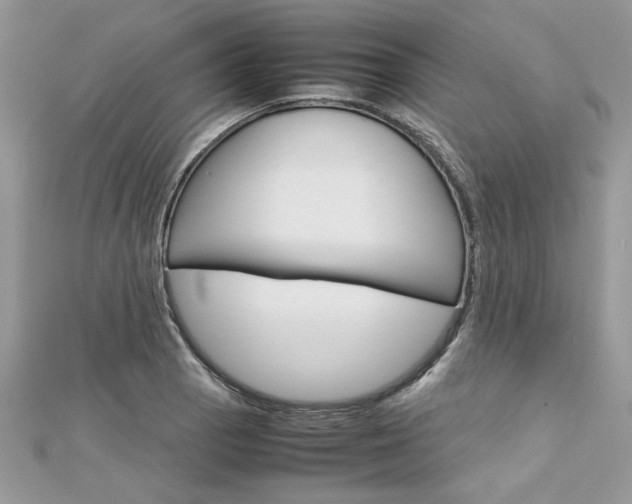 X0000113071129200908281004
