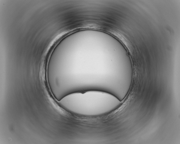 X0000113071131200908281004