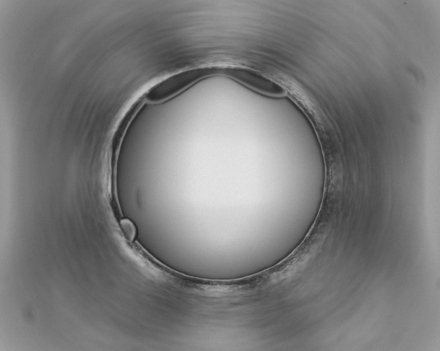 X0000113071132200908281004